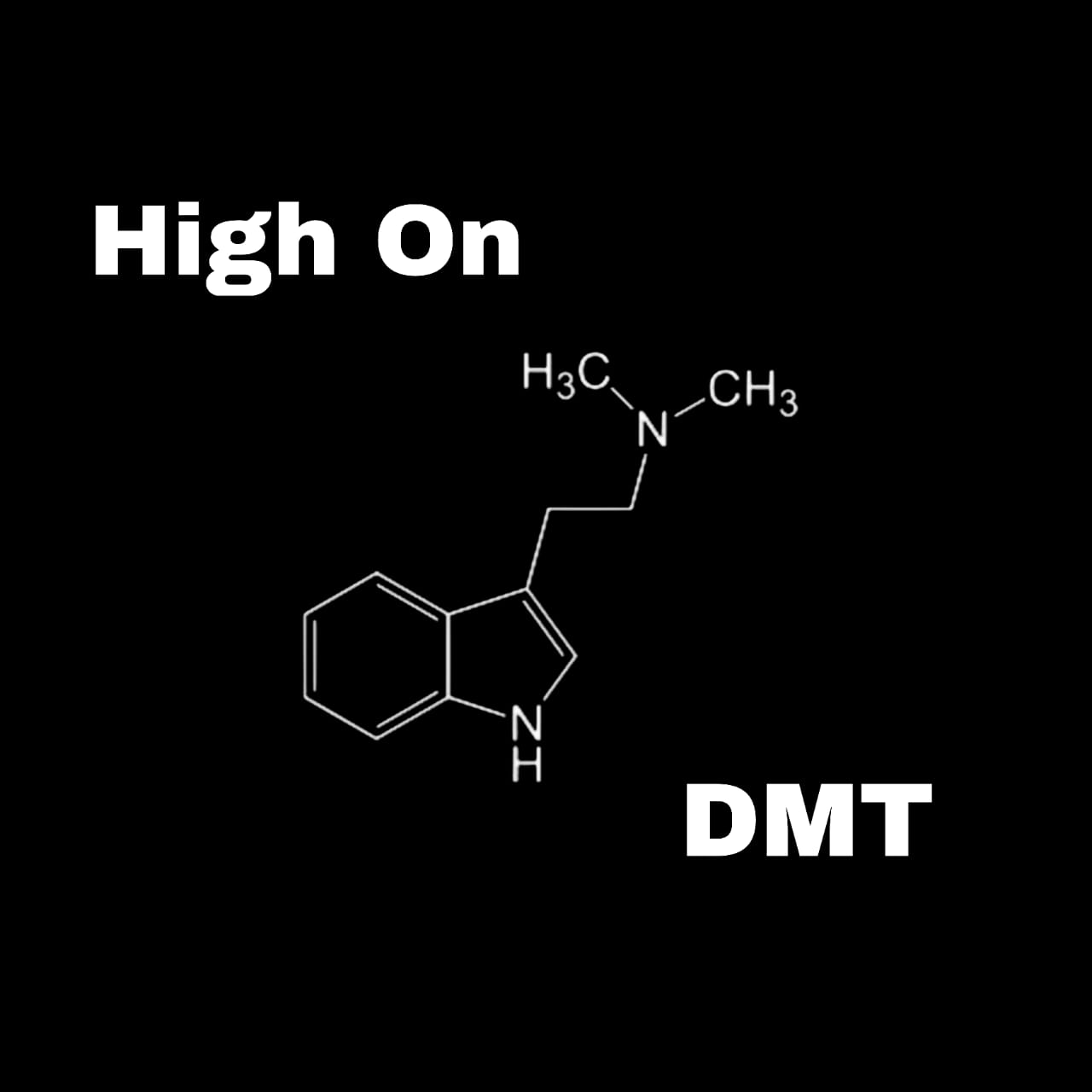 DMT Hoodie – Print view